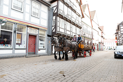 Kutsche_F-2014-08-16-d0817-CIAT-Celle