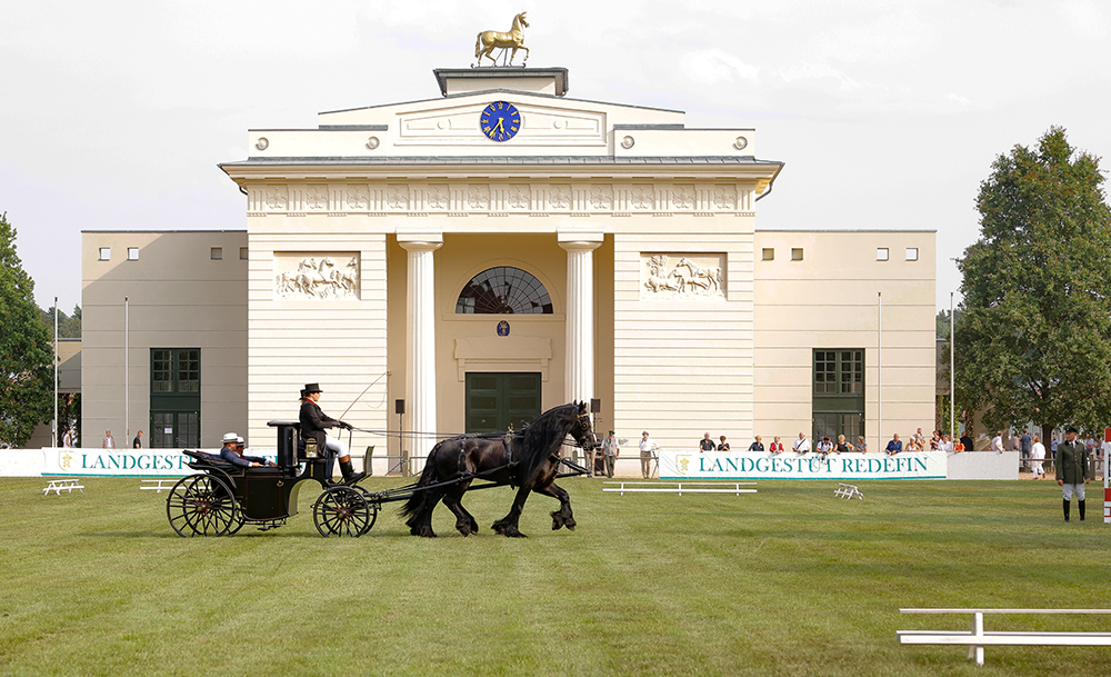 Kutsche_F-2021-07-24-d1223-Internationales-Turnier-fuer-traditionelle-Anspannung-in-Redefin-2021toffi