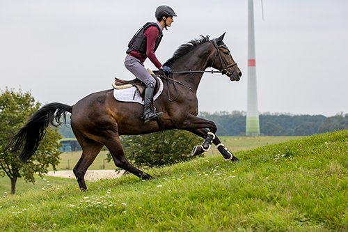Versammlung-Galopp-bergauf
