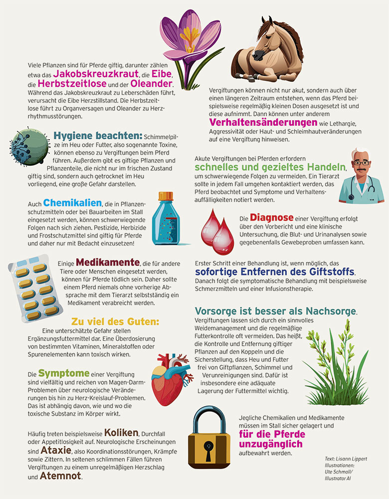 Gesundheit-kompakt-Vergiftung