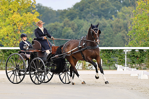 Marie-Tischer-00004-Foto-Hippovent.at-Brigitte-Gfeller