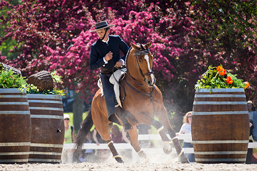 working_equitation_Slawik
