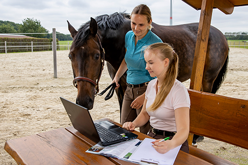 Online-Seminar,-Laptop,-Pferd
