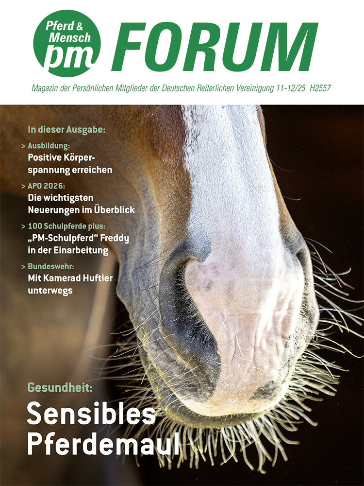 PM-Forum – Eine Zeitschrift für alle Persönlichen Mitglieder