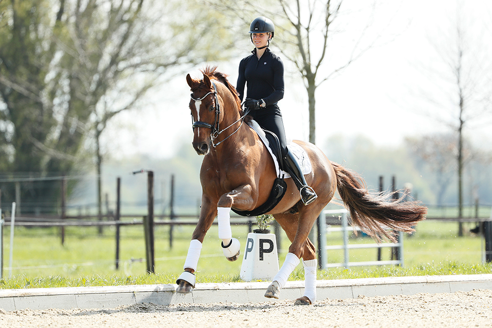 10-Tipps-Verstaerkungen