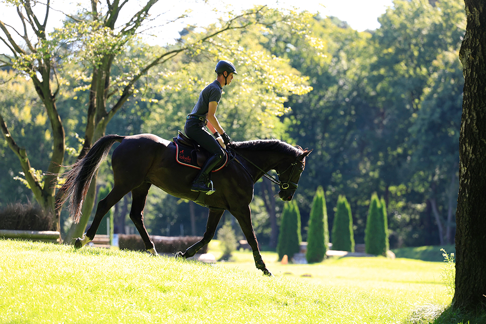 Losgelassenheit-Aufmacher